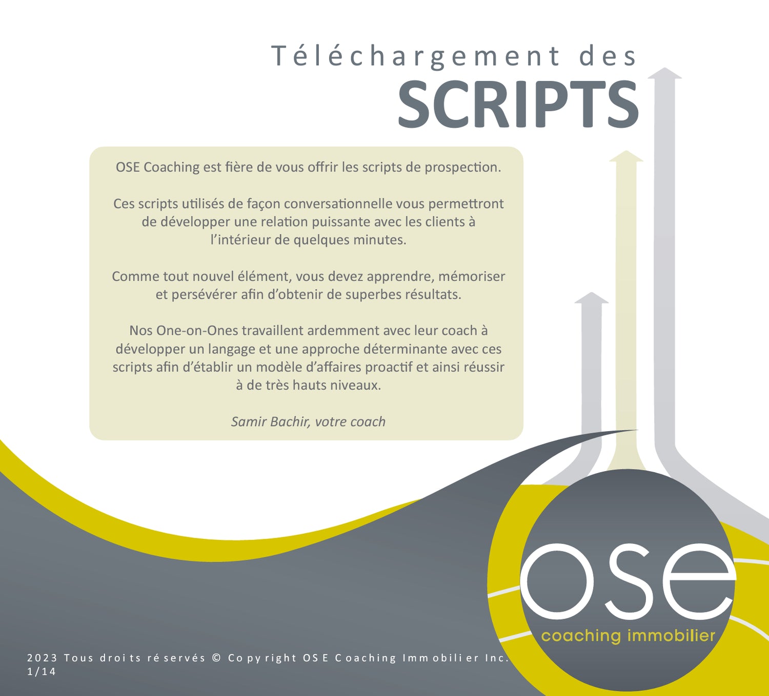 Les SCRIPTS OSE Coaching